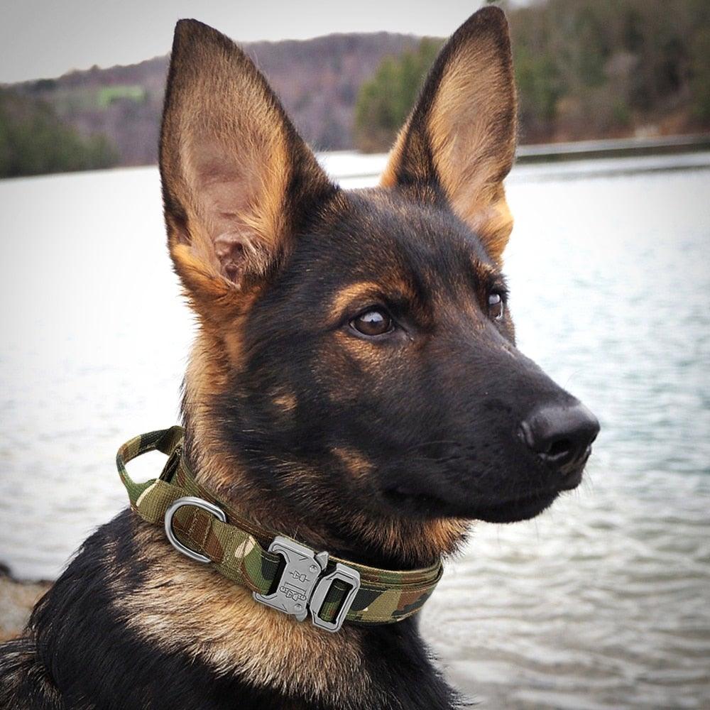 Military Tactical Dog Collar with Control Handle - Smart Shoppers Deal